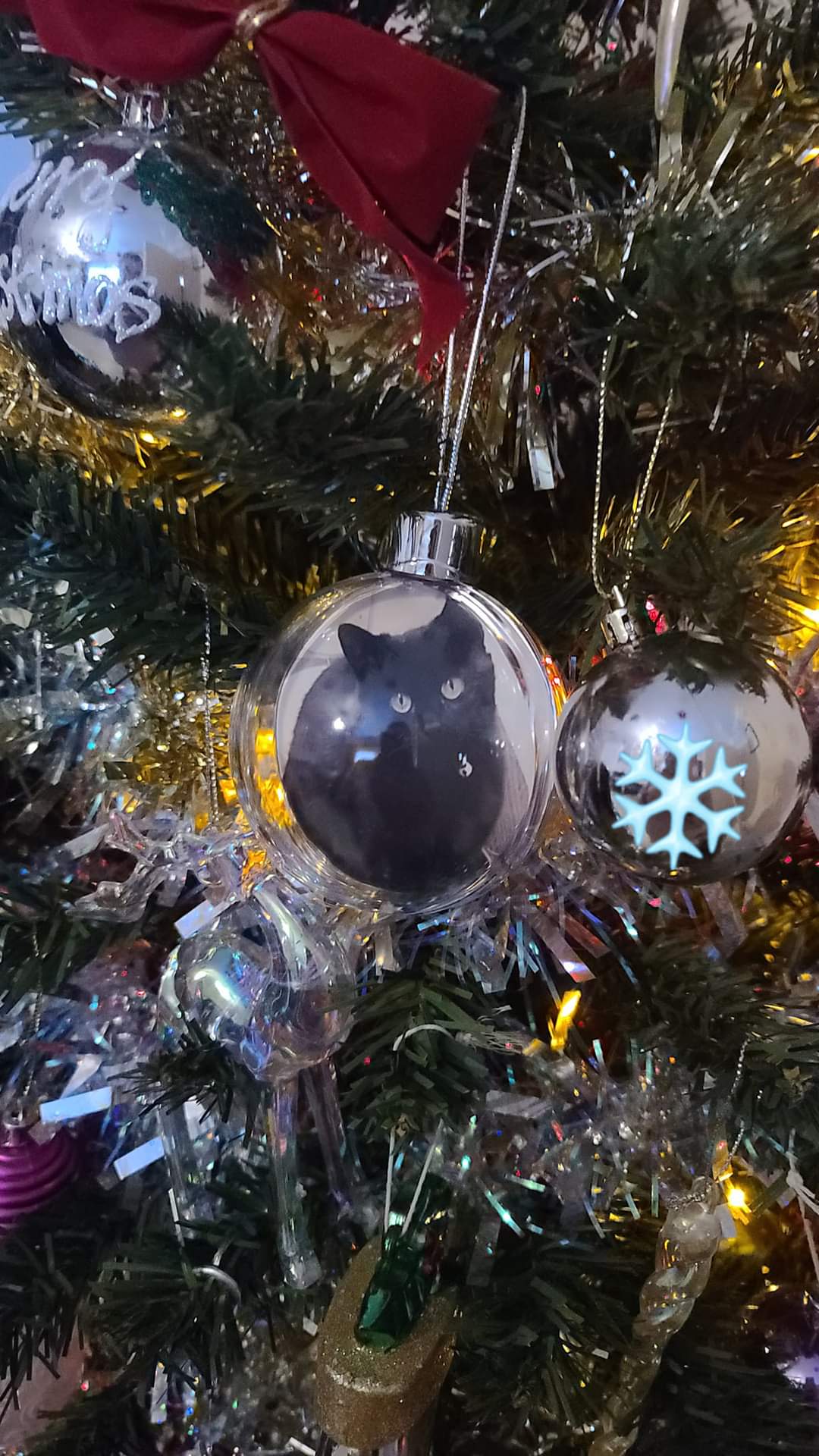 Photo Christmas Baubles